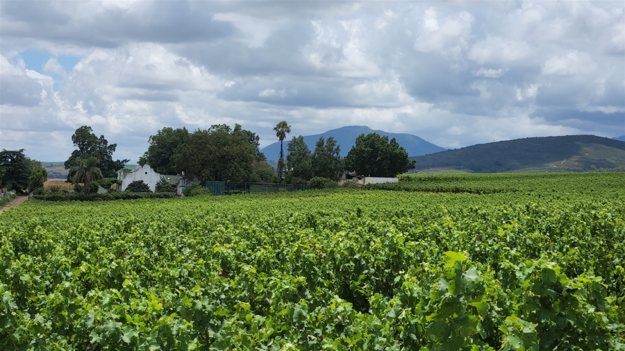 Commercial Property for Sale in Paarl Rural Western Cape